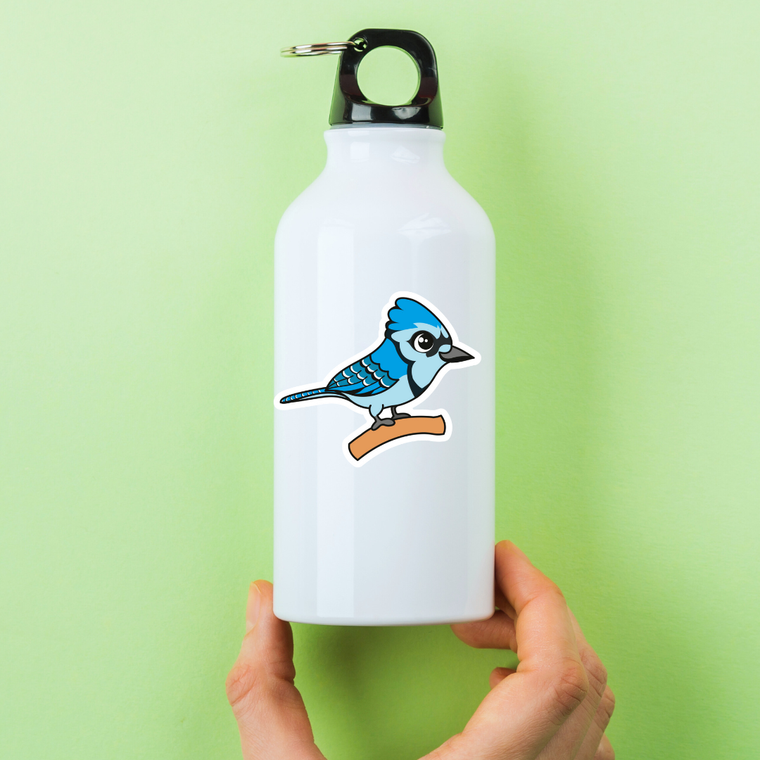 Blue Jay Bird Vinyl Sticker
